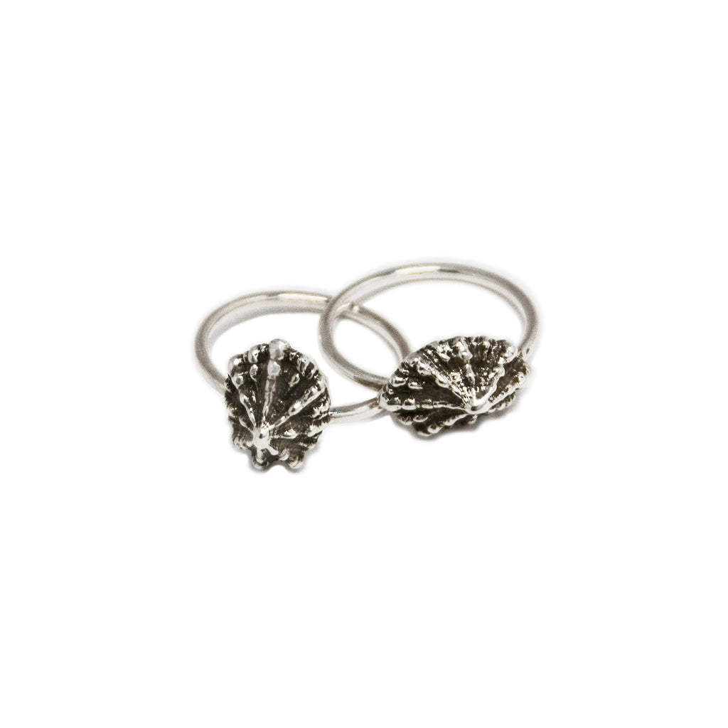 Limpet Rings Limpet Shell Ring | Handcrafted in Montreal - Elle Blackburn